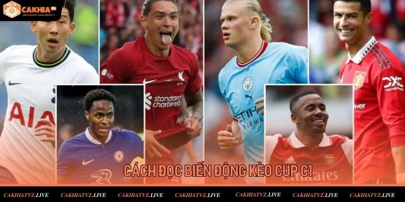 Cách đọc biến động kèo Champions League chuẩn cho người mới