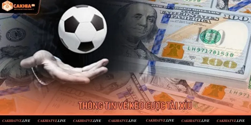 Thông tin về cách nhận định biến động tỷ lệ kèo bóng đá